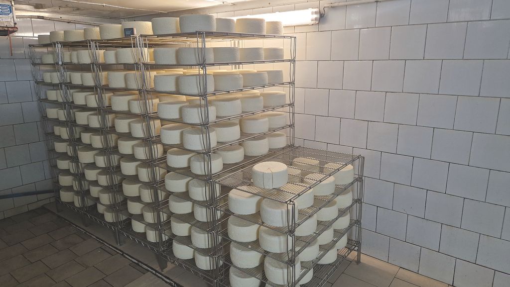 Etap produkcji sera Rokpol: Pakowanie
